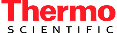 Company name
